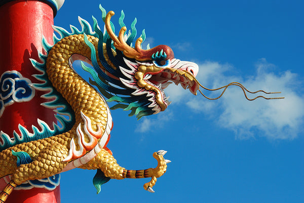 Cross-Cultural Communication: Exploring the Chinese Ghost Festival Together